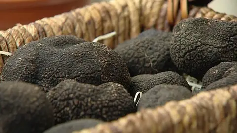 Trufas negras Trufas negras