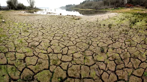 Tierra cuarteada por la sequía Tierra cuarteada por la sequía