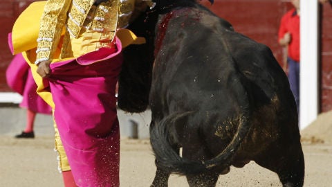 Iv&aacute;n Fandi&ntilde;o