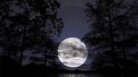 Luna llena Luna llena