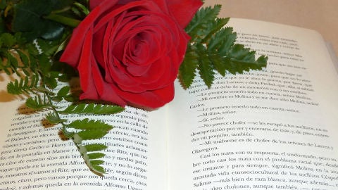Una rosa y un libro en el D&iacute;a de Sant Jordi