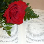 Una rosa y un libro en el Día de Sant Jordi