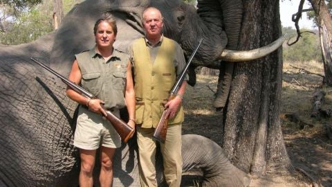 Im&aacute;gen de el rey en un safari en Botsuana