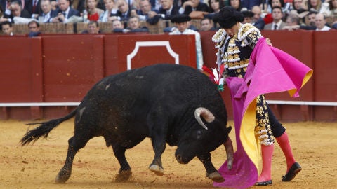 Manzanares con el capote