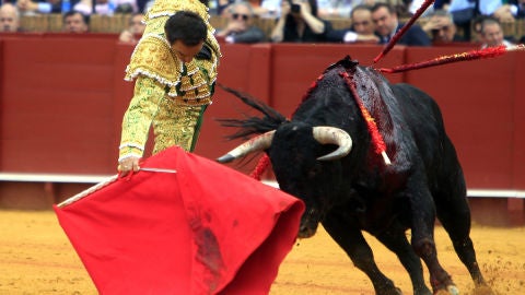 Manuel Jes&uacute;s "El Cid"