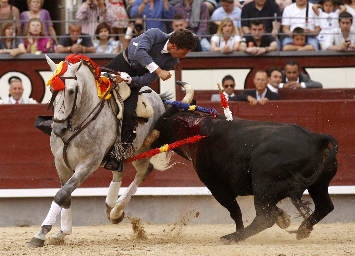 Toros con Pedro Javier Cáceres: Éxito en la Feria de Albacete Toros con Pedro Javier Cáceres: Éxito en la Feria de Albacete