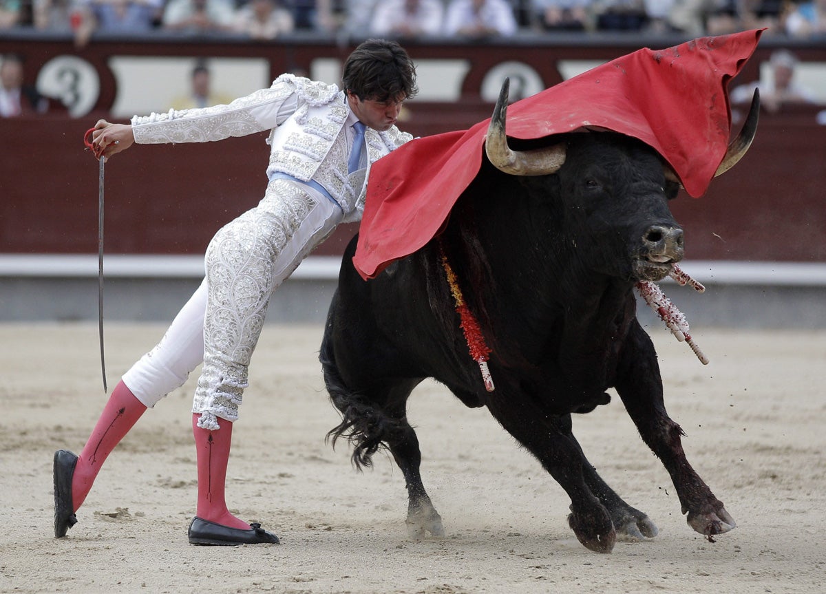 Toros con Pedro Javier Cáceres: "Juan del Álamo, rotundo en Cuenca" Toros con Pedro Javier Cáceres: "Juan del Álamo, rotundo en Cuenca"