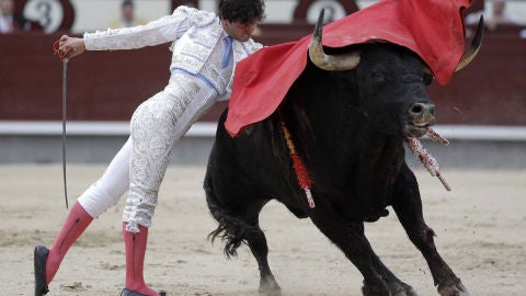 Juan Del &Aacute;lamo