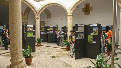 Festival de las Aves en C&aacute;ceres