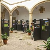 Festival de las Aves en Cáceres