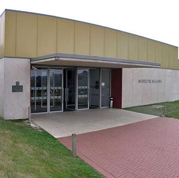 El Museo Nacional y Centro de Investigación de Altamira celebra su aniversario El Museo Nacional y Centro de Investigación de Altamira celebra su aniversario