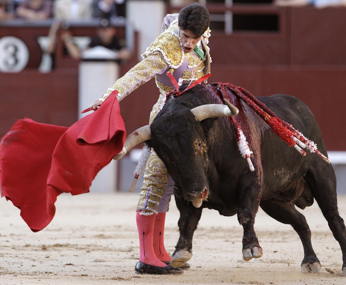 Toros con Pedro Javier Cáceres: ‘Excelente colofón en Badajoz’ Toros con Pedro Javier Cáceres: ‘Excelente colofón en Badajoz’