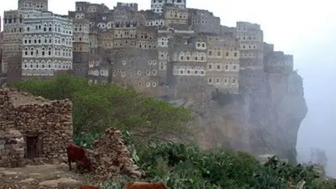 Socotra Socotra