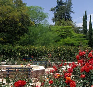 Real Jardín Botánico de Córdoba Real Jardín Botánico de Córdoba
