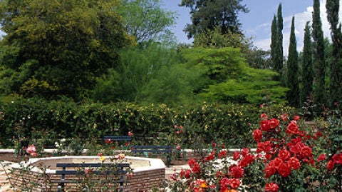 Real Jard&iacute;n Bot&aacute;nico de C&oacute;rdoba