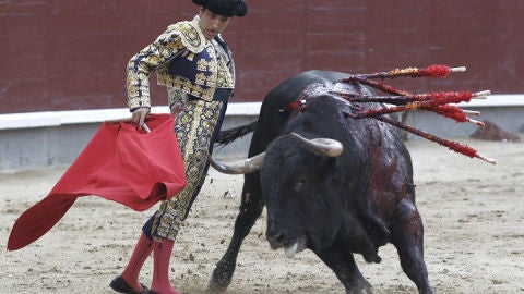 Javier Casta&ntilde;o