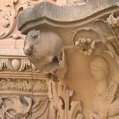 Rana de la fachada de la Universidad de Salamanca