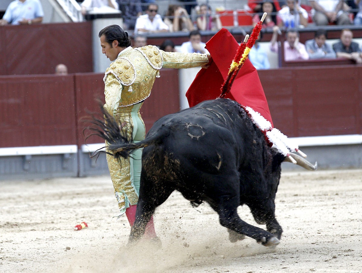 Toros con Pedro Javier Cáceres: El triunfador de la tarde, David Mora Toros con Pedro Javier Cáceres: El triunfador de la tarde, David Mora