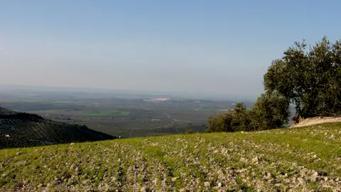 Gente de Córdoba. Medio Ambiente. 19-06-12 Gente de Córdoba. Medio Ambiente. 19-06-12