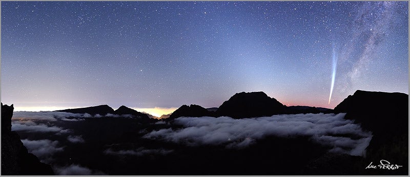 Elvis, el gecko cantante del caribe: "Los lugareños se han vestido de guerrilleros intrépidos y están repartiendo collejas ecológicas" Elvis, el gecko cantante del caribe: "Los lugareños se han vestido de guerrilleros intrépidos y están repartiendo collejas ecológicas"