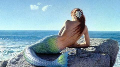Sirena
