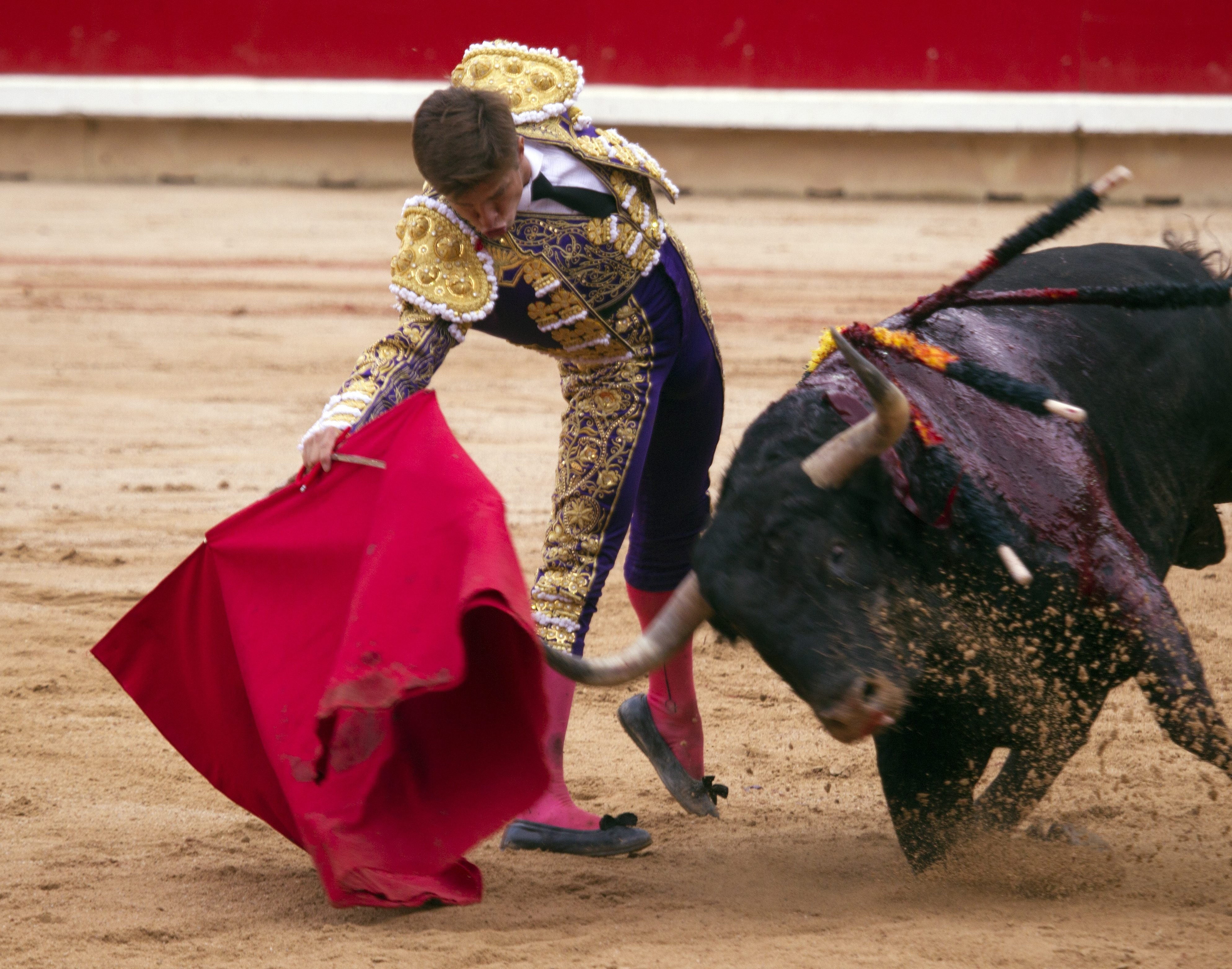 Aquí en la Onda Navarra 11/12 - Va por Ustedes: Hablamos con "El Juli" del calendario de APSA y con Juan Pedro Cano de la iniciativa #Forobravo. Aquí en la Onda Navarra 11/12 - Va por Ustedes: Hablamos con "El Juli" del calendario de APSA y con Juan Pedro Cano de la iniciativa #Forobravo.