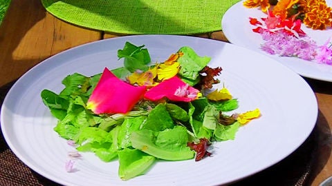 Os ense&ntilde;amos c&oacute;mo hacer una ensalada con flores comestibles