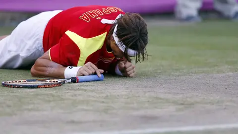 David Ferrer, en el suelo durante su partido ante Nishikori David Ferrer, en el suelo durante su partido ante Nishikori