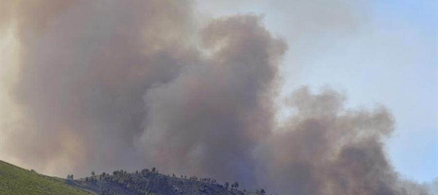 Columna de humo del incendio en la Sierra de Gata Columna de humo del incendio en la Sierra de Gata