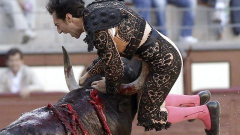 El diestro Fernando Cruz ha resultado herido