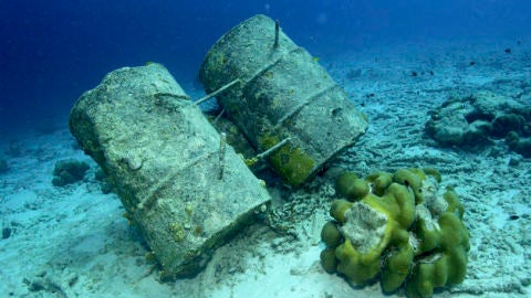 Basura submarina 