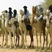 Los tuareg