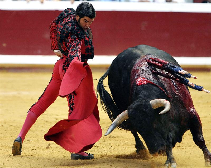 Twitter bloquea la cuenta de información de Morante de la Puebla por fomentar el "placer sádico" con "escenas sangrientas gratuitas" Twitter bloquea la cuenta de información de Morante de la Puebla por fomentar el "placer sádico" con "escenas sangrientas gratuitas"