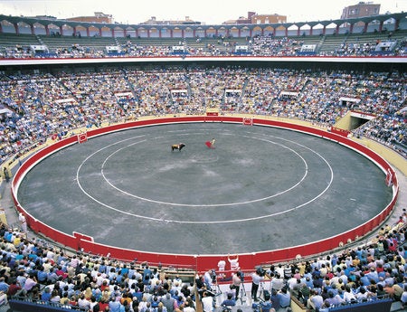 Recaban 41.000 firmas contra la ley vasca que permite la participación de menores en festejos con reses pequeñas Recaban 41.000 firmas contra la ley vasca que permite la participación de menores en festejos con reses pequeñas