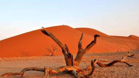 Paisaje de Namibia