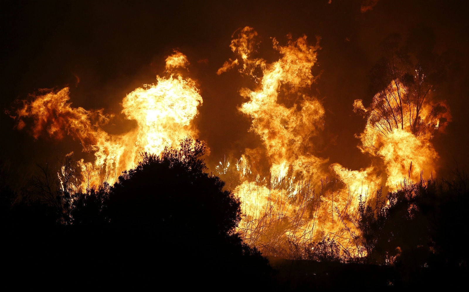 Enigmas: Secuestrados por el fuego Enigmas: Secuestrados por el fuego