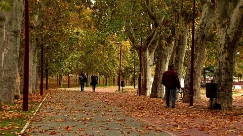 Paisaje propio de oto&ntilde;o