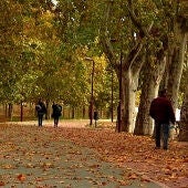 Paisaje propio de otoño