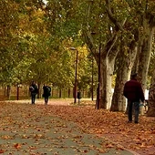 Paisaje propio de otoño Paisaje propio de otoño
