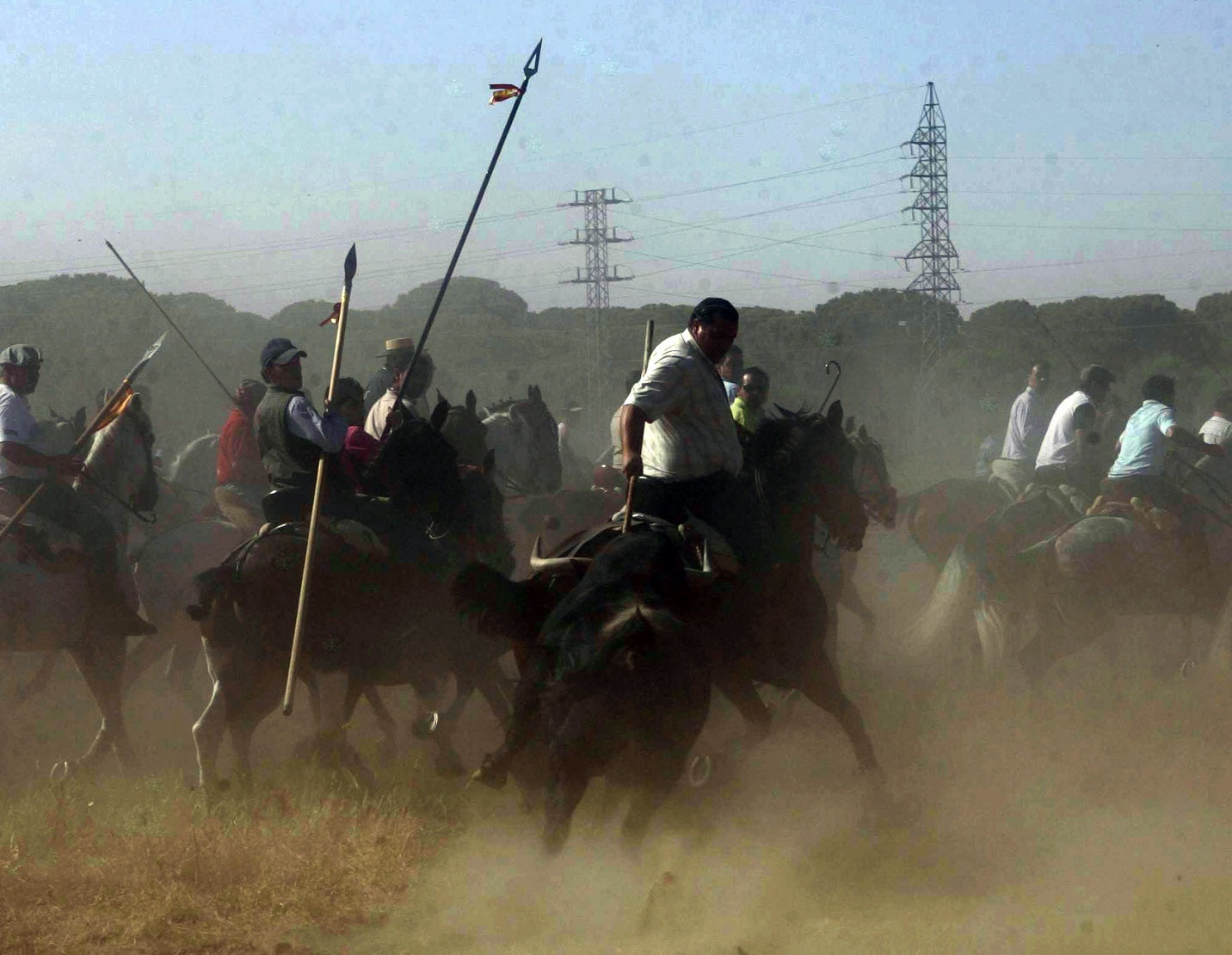 Isaias, defensor del Toro de la Vega y próximo Premio Nobel de Literatura Isaias, defensor del Toro de la Vega y próximo Premio Nobel de Literatura