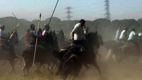 Torneo Toro de la Vega en Tordesillas
