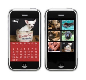 Iphone, perros y gatos Iphone, perros y gatos