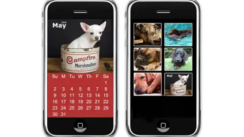 Iphone, perros y gatos Iphone, perros y gatos