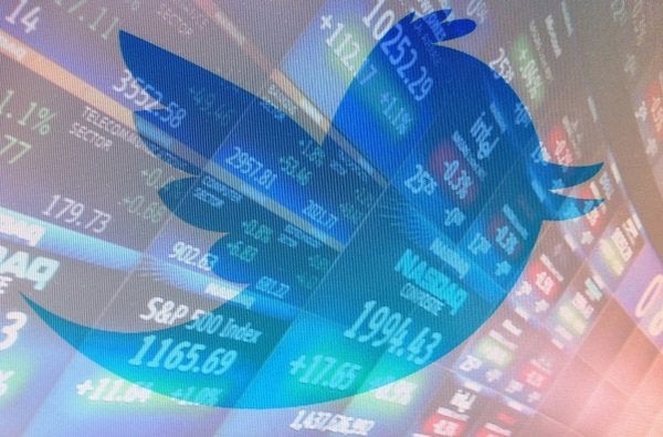 Las cuentas de Twitter más absurdas de animales Las cuentas de Twitter más absurdas de animales
