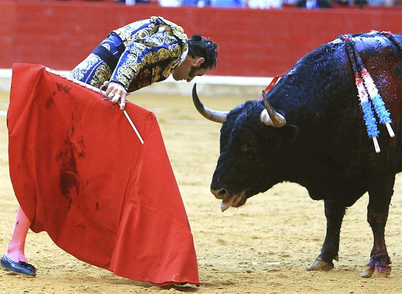 Toros con Pedro Javier Cáceres: Gran tarde en Venezuela Toros con Pedro Javier Cáceres: Gran tarde en Venezuela