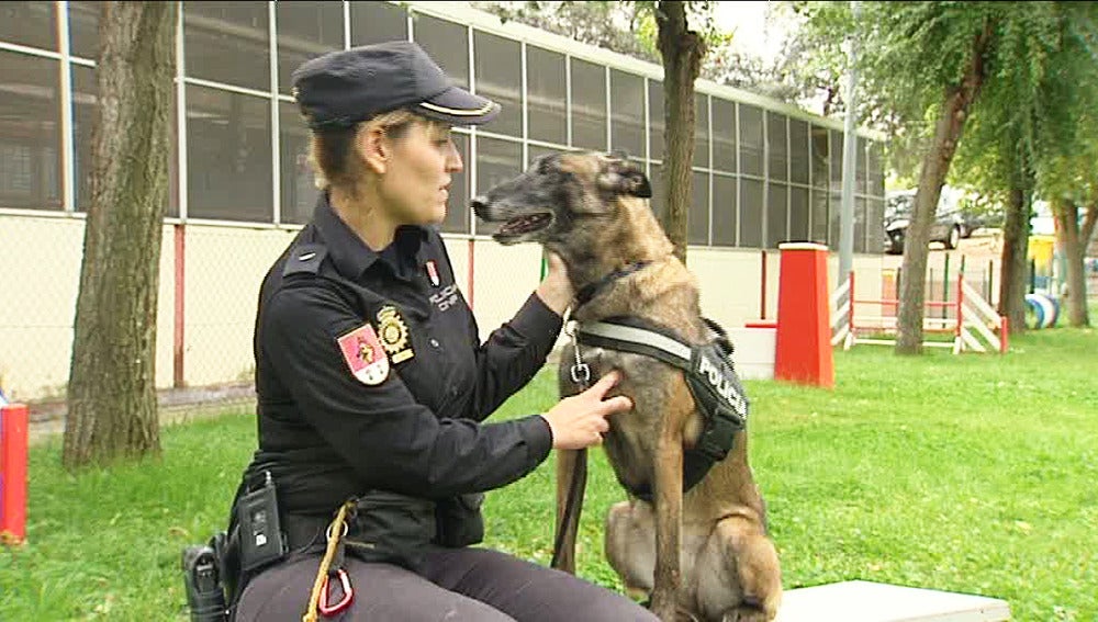 Los perros policía claves en la "Operación Emperador"