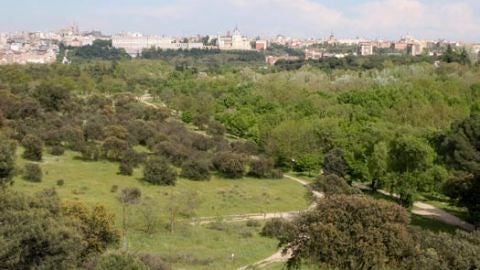 Prisi&oacute;n de 138 a&ntilde;os un violador que actuaba en la Casa de Campo de Madrid