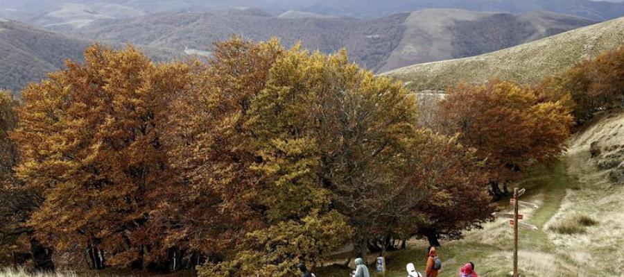 Aumento ligero de las temperaturas en casi toda la Península Aumento ligero de las temperaturas en casi toda la Península