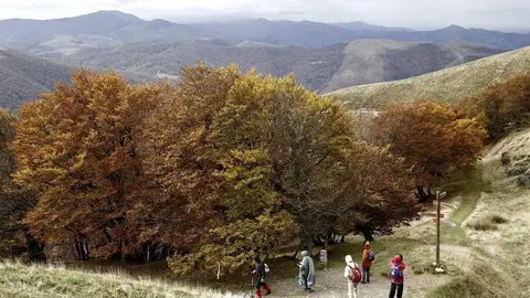 Aumento ligero de las temperaturas en casi toda la Península Aumento ligero de las temperaturas en casi toda la Península