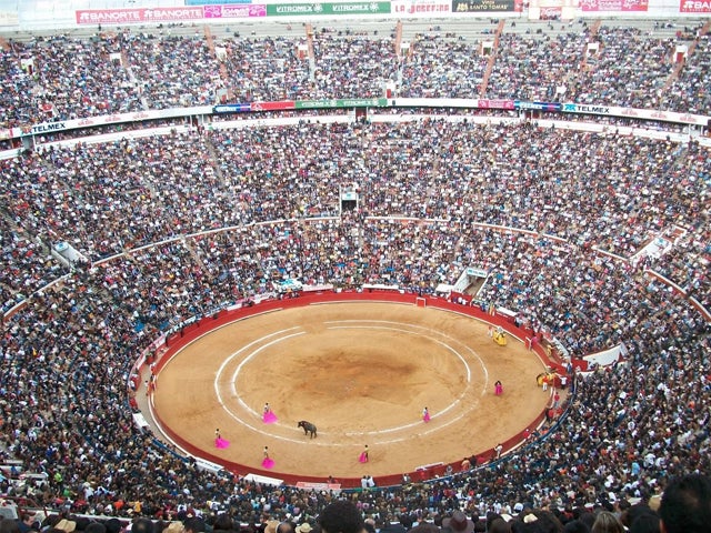 El toro Chamaquito de Zacatecas: "En México estamos a un paso de abolir las corridas de toros" El toro Chamaquito de Zacatecas: "En México estamos a un paso de abolir las corridas de toros"